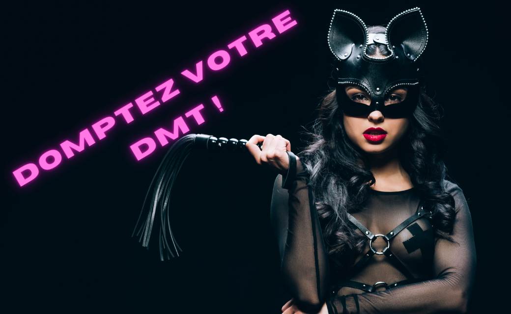 Domptez_votre_DMT_effiCRM Domptez votre DMT avec effiCRM